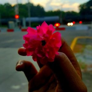 Meet your Posher, Rabia